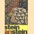 Stein an stein. Technik des Mosaiks für Laien und Künstler door Walter Läuppi