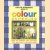 Carolyn Warrender's Book of Colour Scheming door Carolyn Warrender
