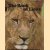 The book of Lions door Sandy Lesberg