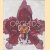 Orchids: from the archives of the Royal Horticultural Society door Mark Griffiths