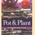 Pot & plant: vier seizoenen ideeën en sfeer door Margot Veerman
