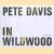 In Wildwood door Pete Davis