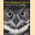 The book of owls door Lewis Wayne Walker