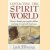 Contacting the Spirit World door Linda Williamson