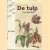 De tulp verbeeld. Hollandse tulpenhandel uit de 17de eeuw
Sam Segal
€ 9,00