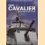 HMS Cavalier Destroyer 1944 door Richard Johnstone-Bryden