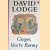 Ginger, You're Barmy door David Lodge