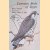 Common Birds of Egypt door Bertel Bruun
