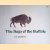 The Saga of the Buffalo door Cy Martin