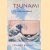 Tsunami: The Underrated Hazard door Edward Bryant