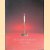 The English Candlestick: 500 Years in the Development of Base-Metal Candlesticks 1425-1925 door Eloy Koldeweij
