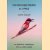 Our Feathered Friends in Cyprus: an Essential Companion for all Bird Lovers door Valerie Sinclair