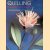 Quilling: Desert Flowers door Jean Woolston-Hamey