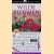 Capitool Veldgids - Wilde bloemen: woordenlijst, determinatie, herkennen, bloei, families, geschiedenis, classificatie
Neil Fletcher
€ 8,00