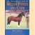 An Introduction to Welsh Ponies and Cobs door Wynne Davies