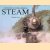 The History of North American Steam door Christopher Chant