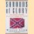 Shrouds of Glory: From Atlanta to Nashville: The Last Great Campaign of the Civil War door Winston Groom