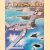 Corsair: The Saga of the Legendary Bent-Wing Fighter-Bomber door Walter A. Musciano