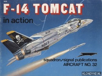F-14 Tomcat in action