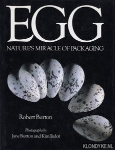 Egg