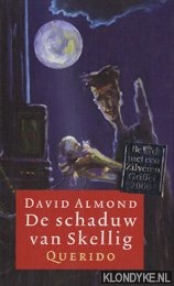 De schaduw van Skellig