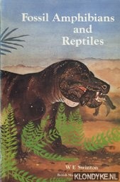 Fossil amphibians and reptiles
