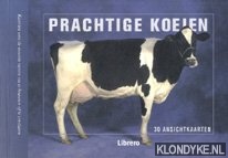 Prachtige koeien