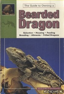 The guide to owning a Bearded Dragon
