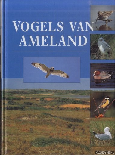 Vogels van Ameland