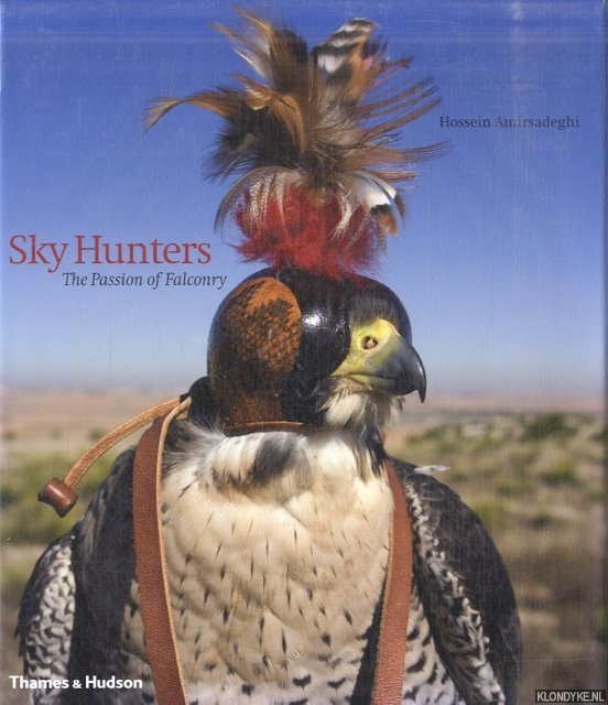 Sky Hunters