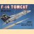 F-14 Tomcat in action door Lou Drendel