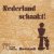 Nederland schaakt! KNSB 100 jaar door diverse auteurs