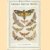 Common British Moths door A.M. Stewart