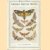 Common British Moths
A.M. Stewart
€ 10,00 Common British Moths
A.M. Stewart
€ 10,00
