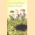 Boekenweekgeschenk 1970: Kasteel in Ierland
Jan Gerhard Toonder
€ 3,50 Boekenweekgeschenk 1970: Kasteel in Ierland
Jan Gerhard Toonder
€ 3,50
