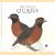 The atlas of Quails
David Alderton
€ 30,00