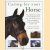 Caring for your Horse. The comprehensive guide to succesful horse and pony care"buying a horse, stable management, equipment, grooming and first aid door Judith Draper