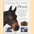 Caring for your Horse. The comprehensive guide to succesful horse and pony care"buying a horse, stable management, equipment, grooming and first aid
Judith Draper
€ 6,00 Caring for your Horse. The comprehensive guide to succesful horse and pony care"buying a horse, stable management, equipment, grooming and first aid
Judith Draper
€ 6,00
