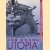 Het schip Utopia (originele ontwerpen van alle tijden)
Jan F. Rontgen
€ 6,00