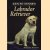 Zien en kennen: Labrador Retriever
Richard T. Burrows
€ 5,00