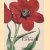 Der Garten von Eichstätt. Das Pflanzenbuch von Basilius Besler
Baslius Besler e.a.
€ 40,00 Der Garten von Eichstätt. Das Pflanzenbuch von Basilius Besler
Baslius Besler e.a.
€ 40,00