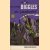 Biggles als juwelendief
W.E. Johns
€ 3,50 Biggles als juwelendief
W.E. Johns
€ 3,50