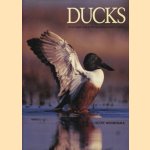 Ducks. An in-depth look at the fascinating world of ducks door Scott Weidensaul