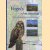Vogels in het landschap van Zuid-Kennemerland en Haarlemmermeer
Steve Geelhoed e.a.
€ 8,00 Vogels in het landschap van Zuid-Kennemerland en Haarlemmermeer
Steve Geelhoed e.a.
€ 8,00