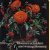 Bloemen schikken met weinig bloemen
Katinka Hendrichs
€ 5,00 Bloemen schikken met weinig bloemen
Katinka Hendrichs
€ 5,00