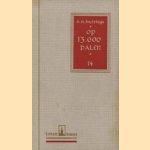 Op 13.000 palen door D.M. Huizinga