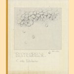 Tropfenreise
Günter Furtenbacher
€ 19,00