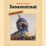 Sesamstraat in de zomer door Hilde van Oostrum e.a.