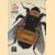 The bee
Beth B. Norden e.a.
€ 10,00 The bee
Beth B. Norden e.a.
€ 10,00