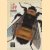 The bee door Beth B. Norden e.a.